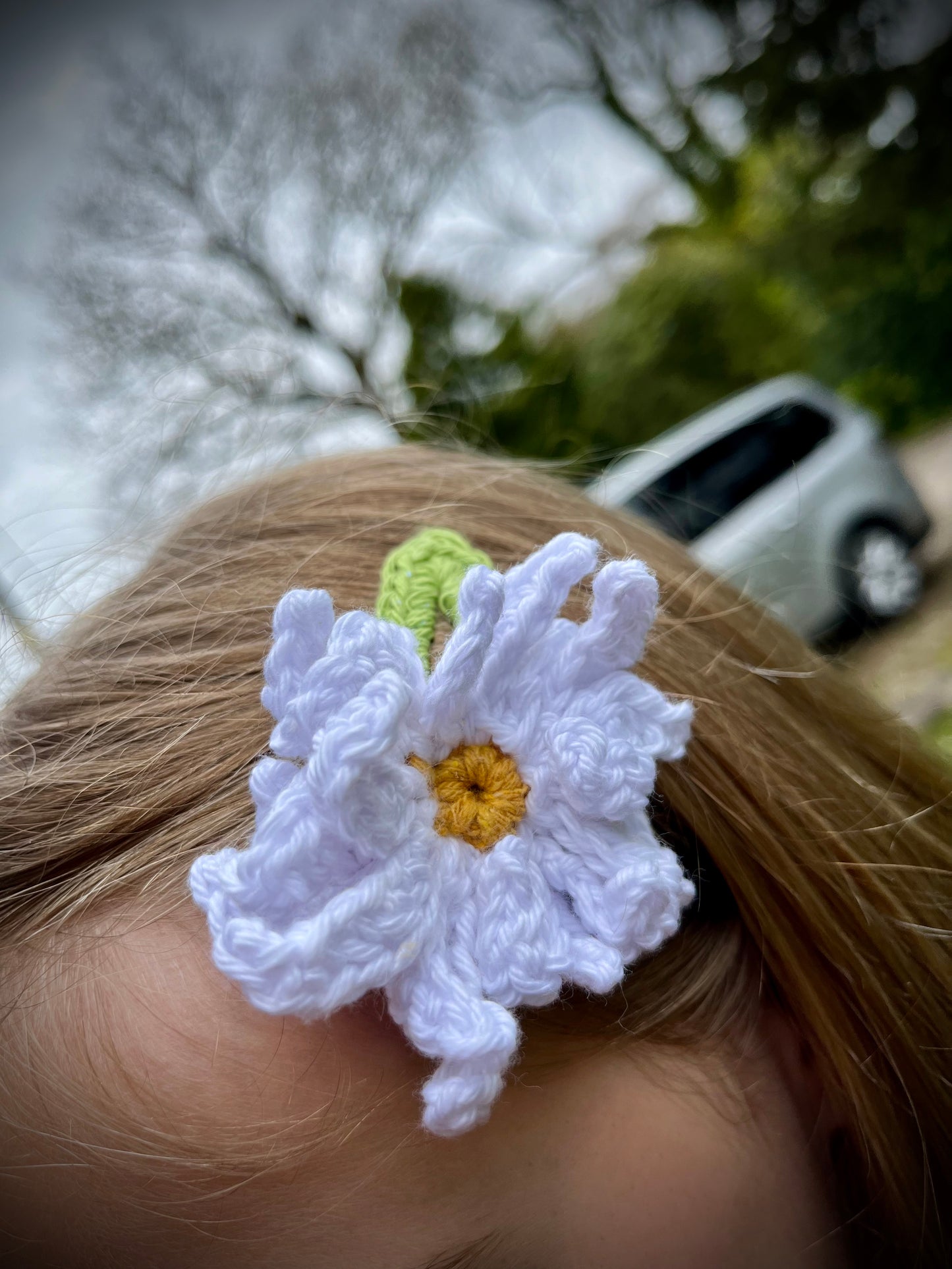 Kids ~ Flower Hair Clips