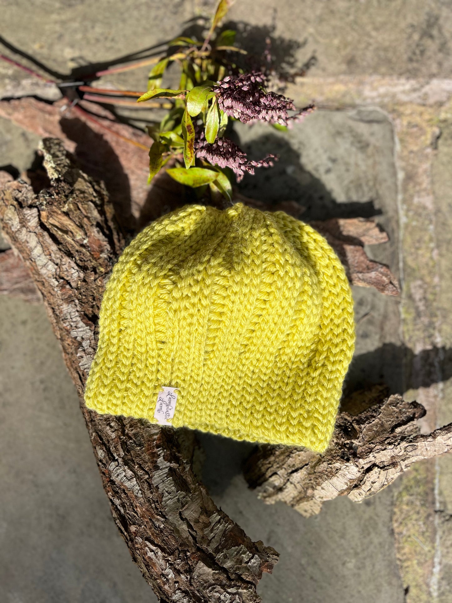 Hats ~ Limelight Wool Blend Beanie